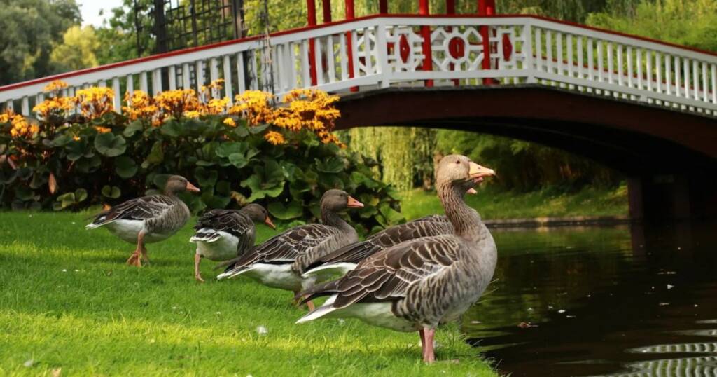  Sharjah National Park