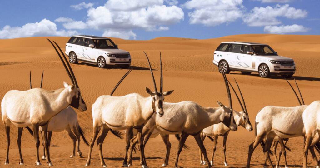 Desert Safari from Dubai