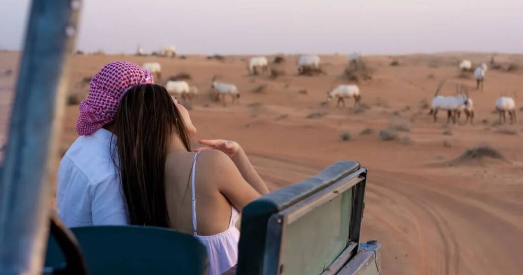 Desert Safari from Dubai